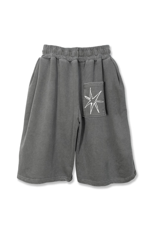 Mayte × Cycle ECHO STAR WASHED HALF PANTS -GRAY-